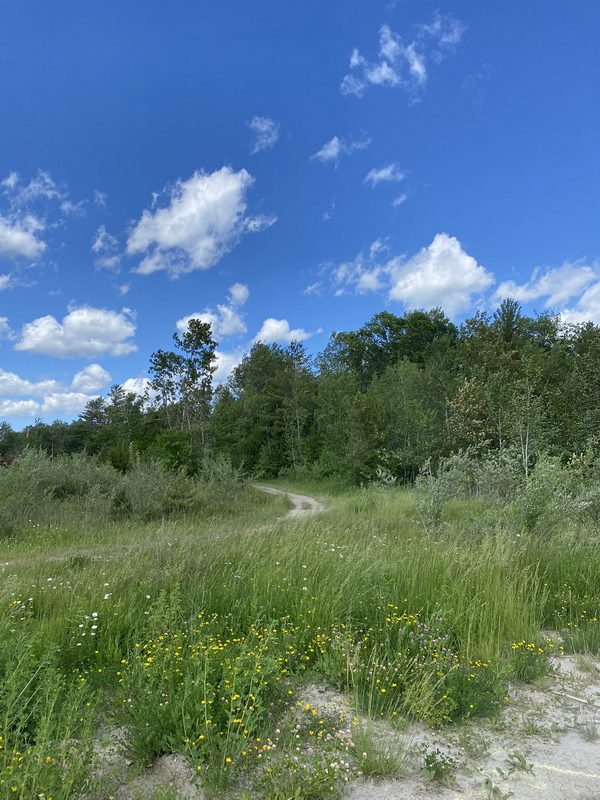 Tawas Drive-In Theatre - June 17 2022 Photo (newer photo)